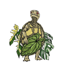 Siapnanam | Rare Plant Nursery